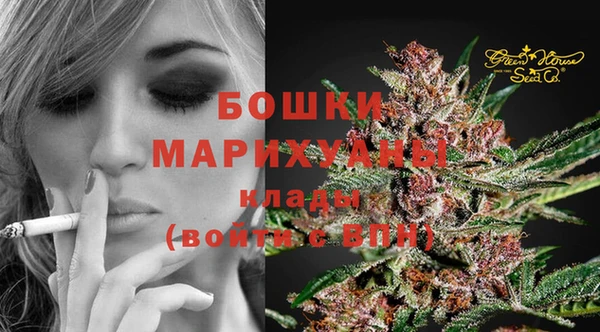 прущий лед Бронницы