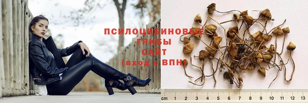 прущий лед Бронницы