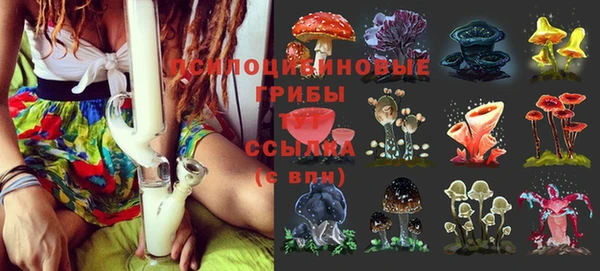 прущий лед Бронницы